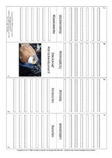 Faltbuch-Rotrückenbussard.pdf